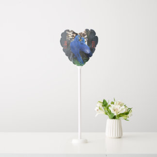balloon _ parrots _ kiss me