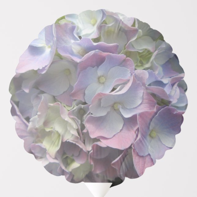 Balloon - Pastel Rainbow Hydrangeas (Front)
