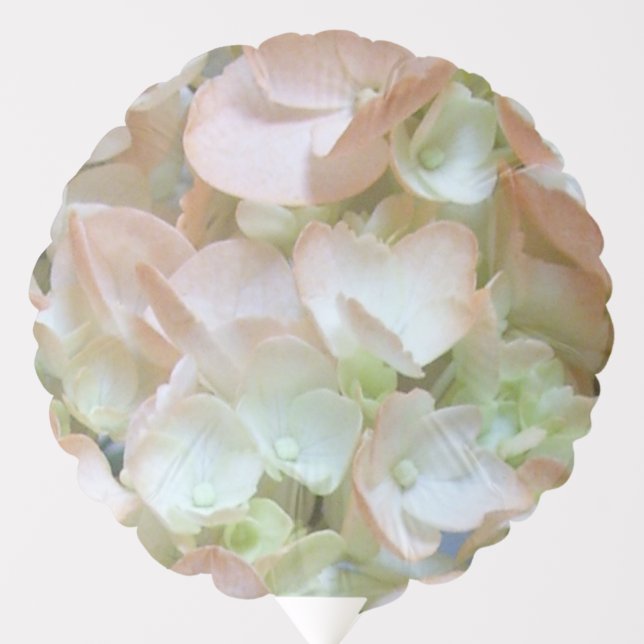 Balloon - Peach Hydrangeas (Front)