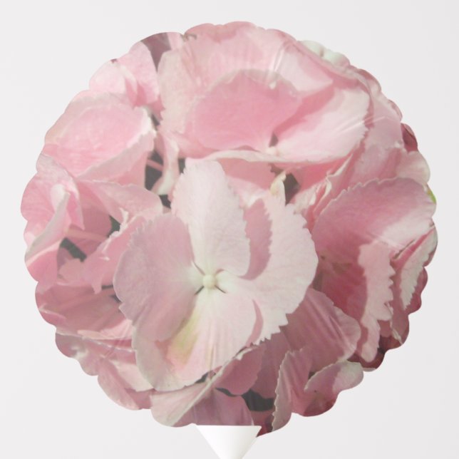 Balloon - Pink Hydrangeas (Front)