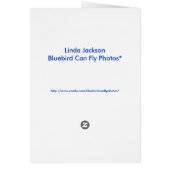 Balloon! Seagulls flying (Back)