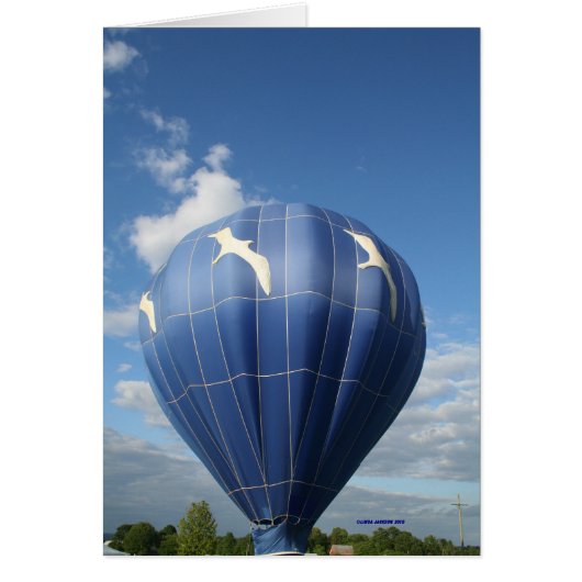 Balloon! Seagulls flying Cards (Front)