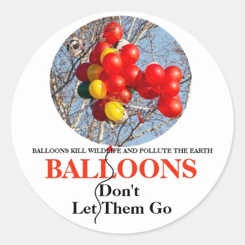 BALLOONS Dont Let Them Go Classic Round Sticker