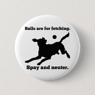 Balls Are For Fetching Button