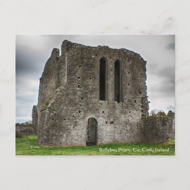 Ballybeg Priory, Ireland Postcard (Front)