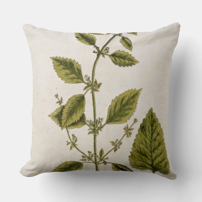 Balm, plate 27 from 'A Curious Herbal', published Throw Pillow (Front)