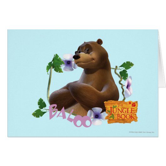 Baloo 2 cards (Front Horizontal)