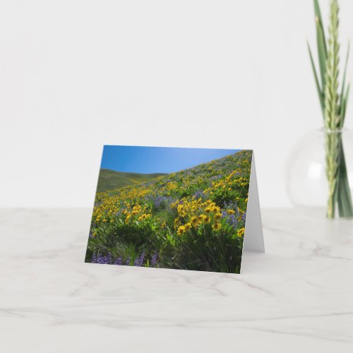 Balsam and Lupine Superbloom blank Card