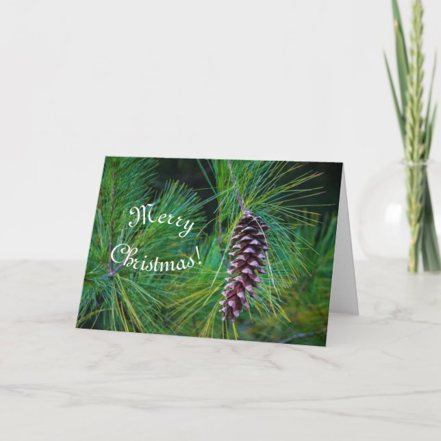 Balsam PIne Holiday  Card (Front)