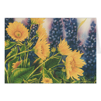 Balsam Root and Lupine Cards