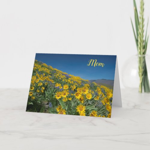 Balsamroot bloom Mothers Day Card