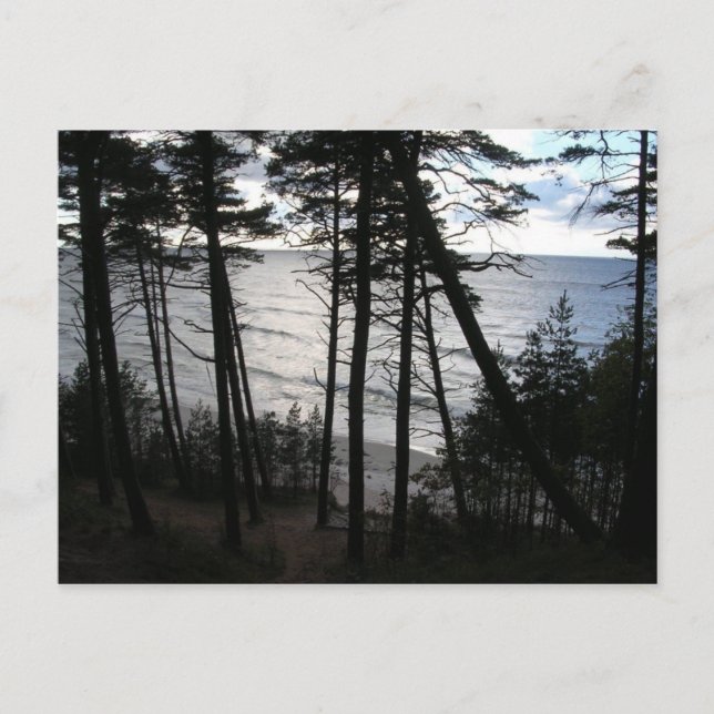 Baltic Sea Shore of Klaipeda Lithuania Postcard (Front)