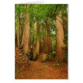 Baltimore Canyon (Front)