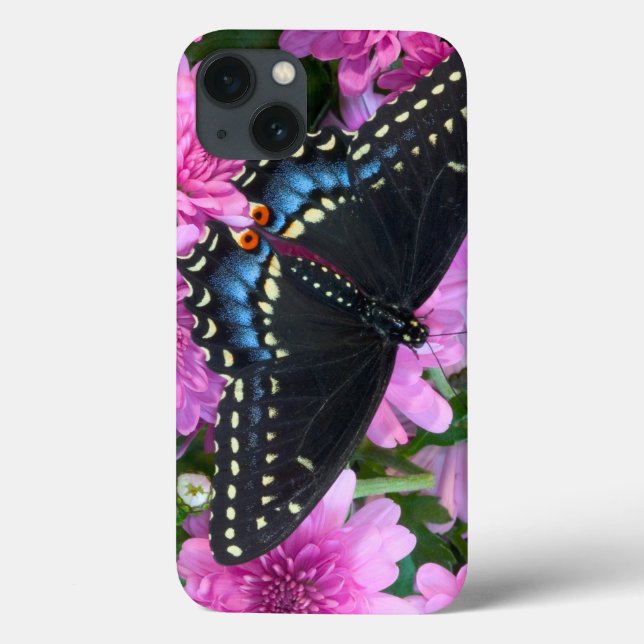Baltimore Checkered Butterfly Case-Mate iPhone Case (Back)