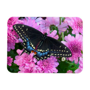 Baltimore Checkered Butterfly Magnet