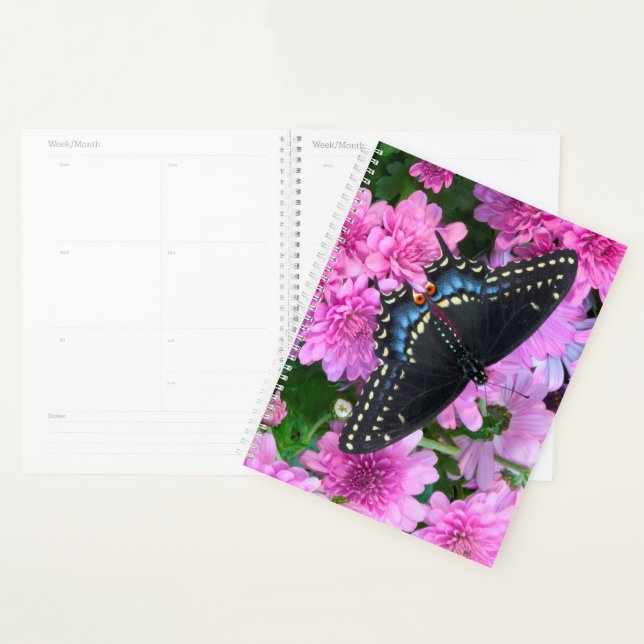 Baltimore Checkered Butterfly Planner (Display)