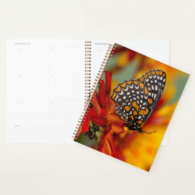 Baltimore-Checkered Butterfly Planner (Display)