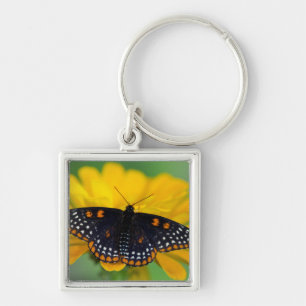 Baltimore Checkered Spot Butterfly Keychain