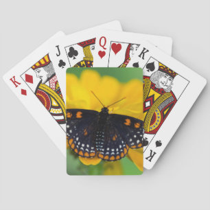 Baltimore Checkered Spot Butterfly Poker Cards