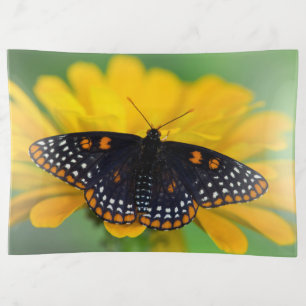 Baltimore Checkered Spot Butterfly Trinket Tray