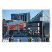 Baltimore Inner Harbor (Front Horizontal)