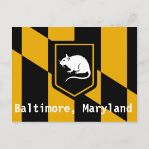 Baltimore Maryland Postcard