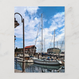 Baltimore MD - Marina Near Fells Point Postcard