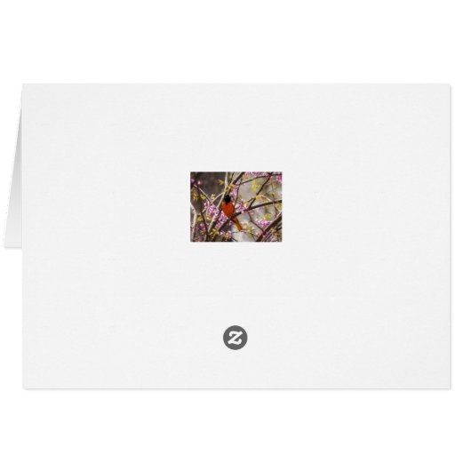 Baltimore Oriole (Back Horizontal)