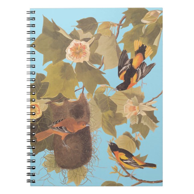 Baltimore Oriole Audubon Bird Family with Nest Notebook (Front)