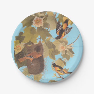 Baltimore Oriole Audubon Bird Family with Nest Paper Plates
