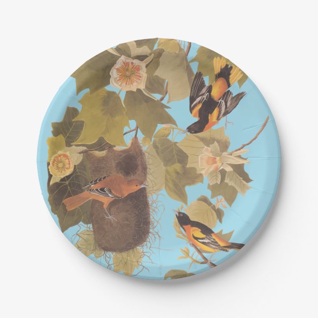 Baltimore Oriole Audubon Bird Family with Nest Paper Plates (Front)