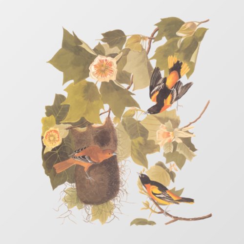 Baltimore Oriole Audubon Bird Family with Nest Window Cling