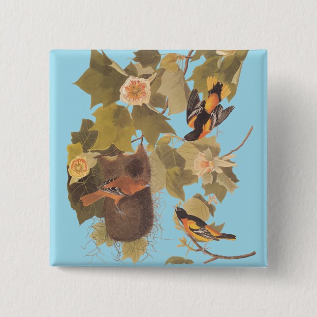 Baltimore Oriole Audubon Birds in Poplar Tree Button (Front)