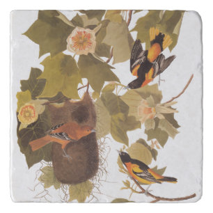 Baltimore Oriole Audubon Birds with Nest Trivet