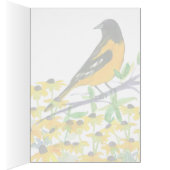 Baltimore Oriole Bird Maryland Souvenir (Inside (Right))