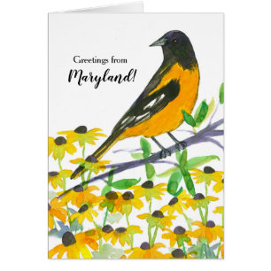 Baltimore Oriole Bird Maryland Souvenir Cards