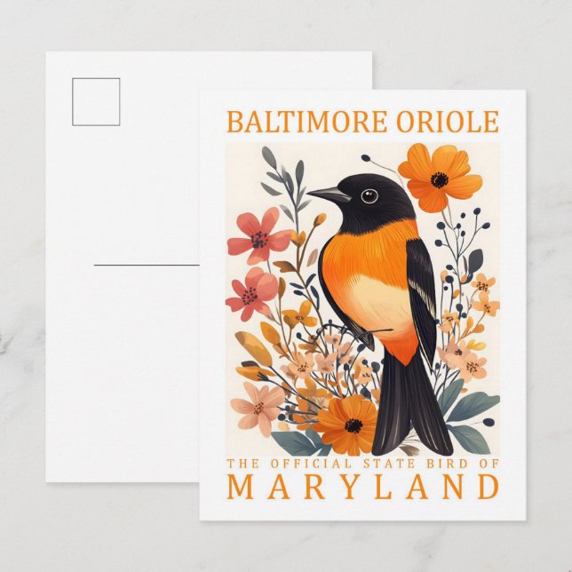 Baltimore Oriole Bird of Maryland USA Travel Postcard (Front/Back)