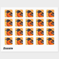 Minimalist Orioles Bird Square Poster Print