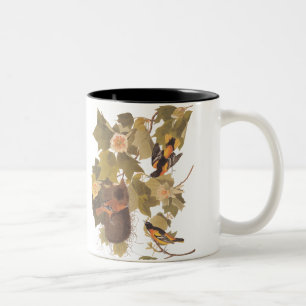 Baltimore Oriole Birds Nesting in a Poplar Tree Two-Tone Coffee Mug