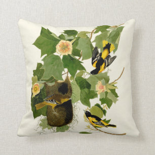 Baltimore Oriole Birds Throw Pillow