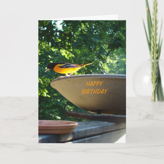Baltimore Oriole, Birthday Card (Front)