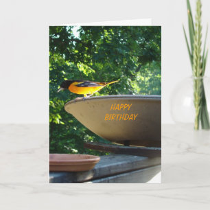 Baltimore Oriole, Birthday Card