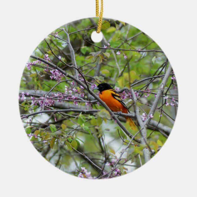 Baltimore Oriole Ceramic Ornament (Front)