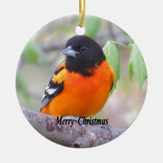 Baltimore Oriole Ceramic Ornament (Front)