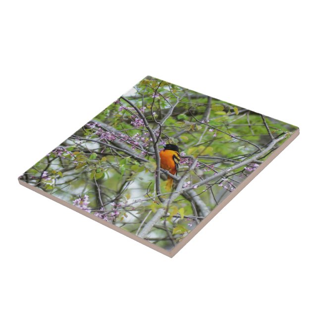 Baltimore Oriole Ceramic Tile (Side)