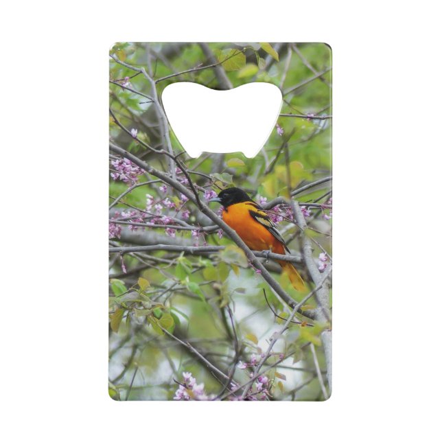 Baltimore Oriole Credit Card Bottle Opener (Back)