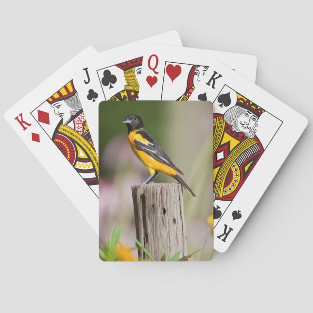 Baltimore Oriole female in flower garden Poker Cards (Back)