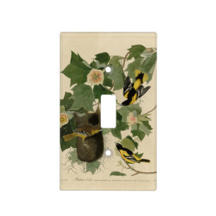 Baltimore Oriole - from Audubon's Birds of America Light Switch Cover