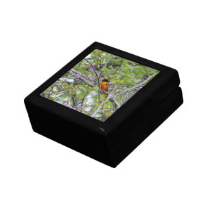 Baltimore Oriole Gift Box