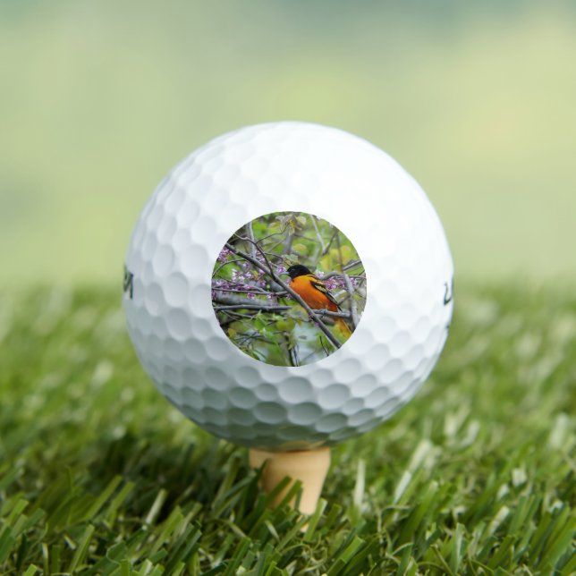 Baltimore Oriole Golf Balls (Insitu Tee)